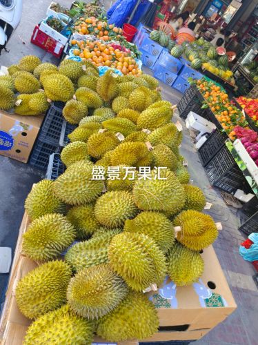 盛景万果汇超市