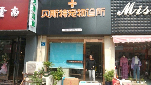 旺卡宠物医院金沙分诊处