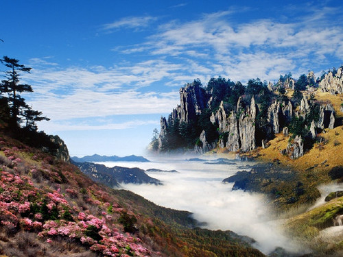 神农架神农顶风景区