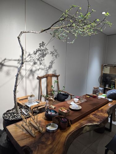 吾盏间(西岭商业广场店)