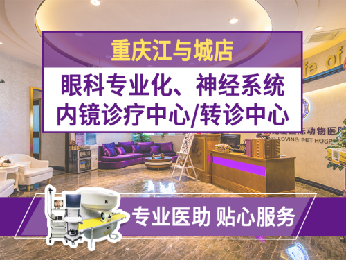 宠爱国际动物医院(重庆江与城店)