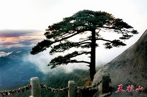 天柱山风景区