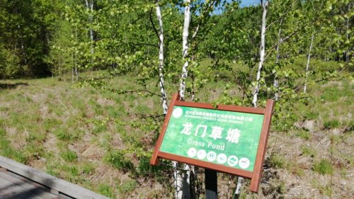龙门石寨景区-龙门草塘