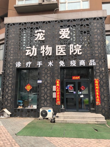 宠爱动物医院