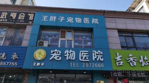 王胖子宠物医院