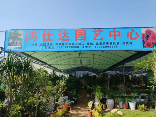 鸿仕达园艺中心
