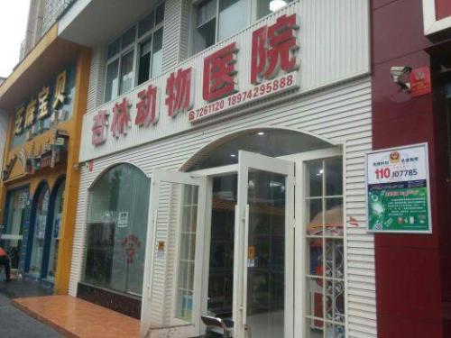 杏林动物医院