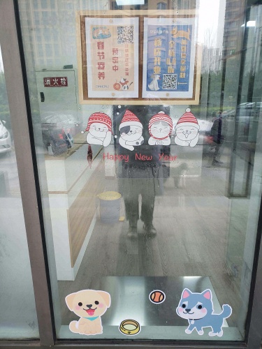 豆宝宠物诊所
