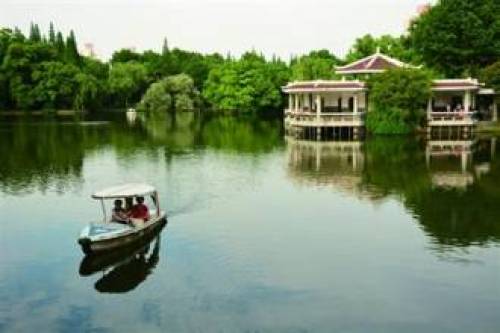 杨浦公园