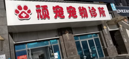顽宠宠物诊所