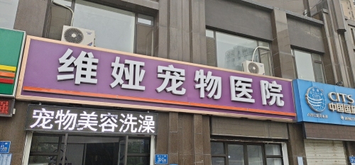 维娅宠物医院
