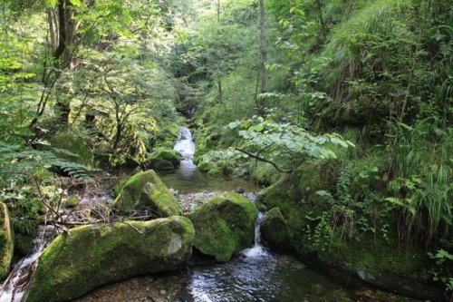 柞水九天山