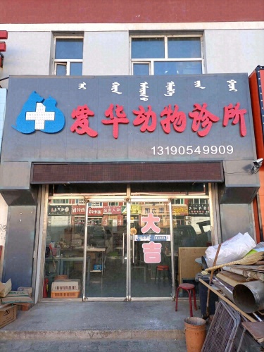 爱华动物诊所