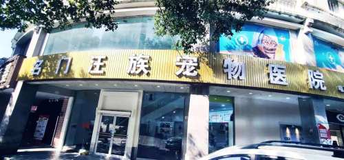 名门汪族宠物医院(泉州石狮市)