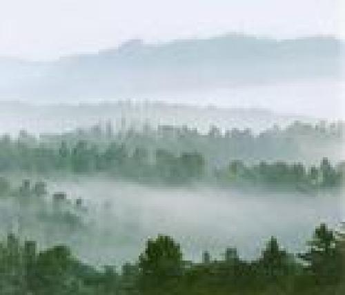 石龙山国家森林公园