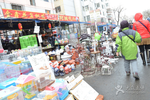 哈尔滨道外花鸟鱼市场