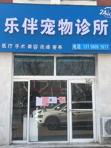 乐伴宠物诊所