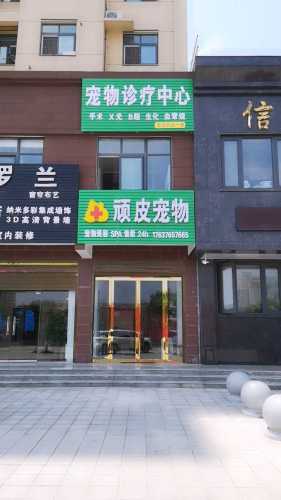 顽皮宠物医院