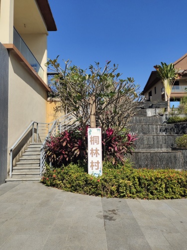 桐林村商业街