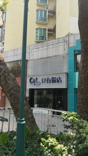 联合宠物医院(友好猫科)