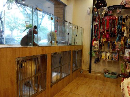 本色宠物诊所(东平店)