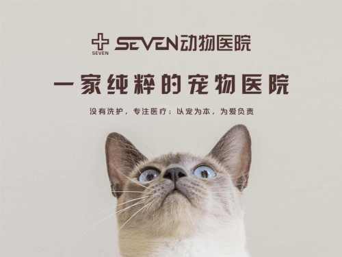 SEVEN动物医院·全科诊疗中心(山东路院)