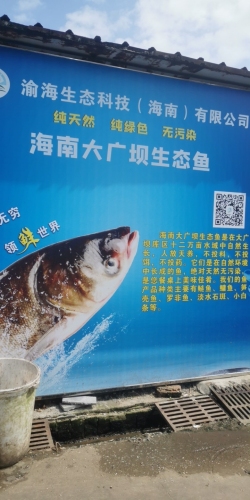 海南大广坝生态鱼(暂停营业)