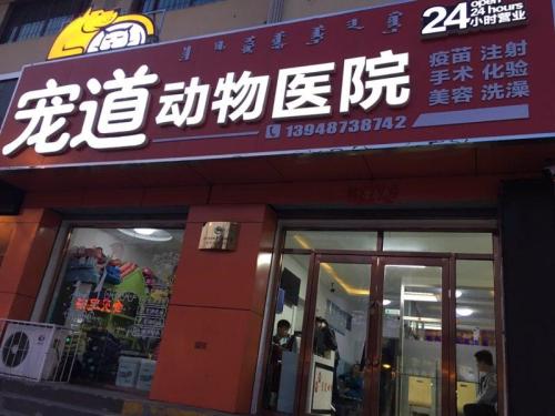 宠道动物医院