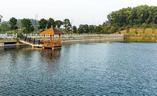 金山湖公园