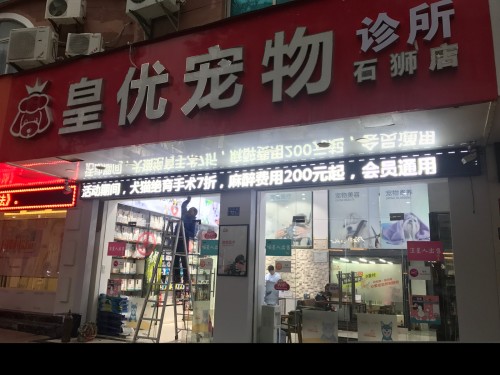 皇优宠物诊所(石狮店)