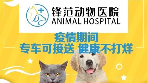 牧兴动物医院