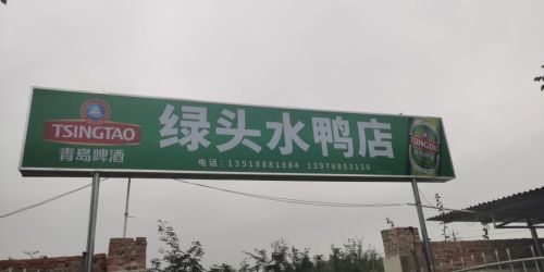 绿头水鸭店