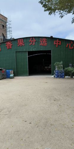 海南农业科技百香果分选中心
