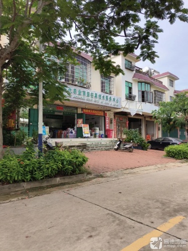 中化现代农业南田芒果技术服务中心