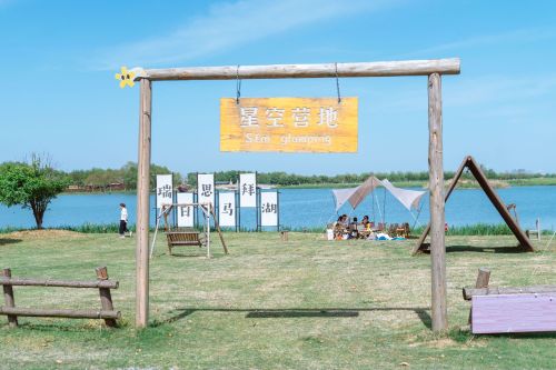 淮安白马湖向日葵的故事景区星空营地