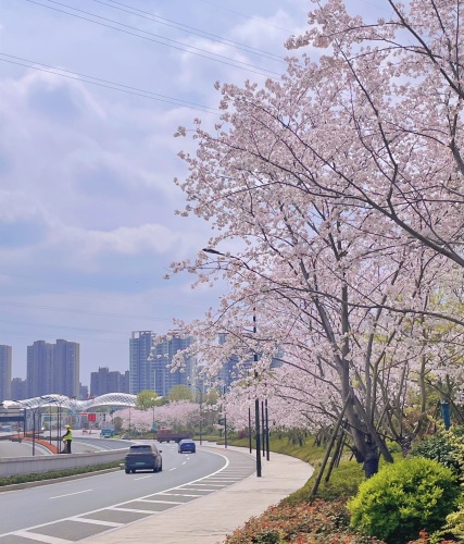 官山公园