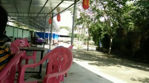 椰子头老爸茶