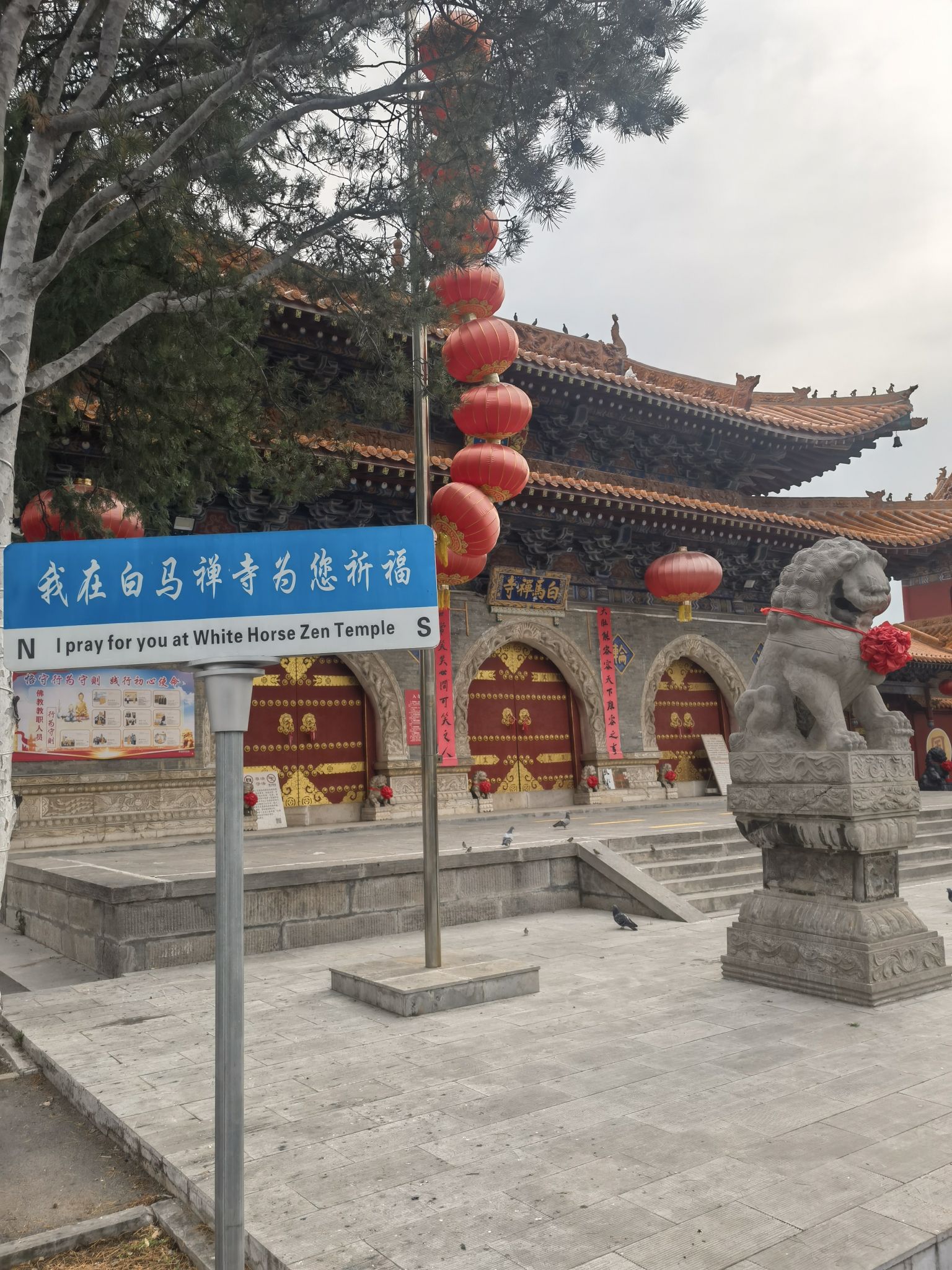 白马寺山森林公园-白马禅寺