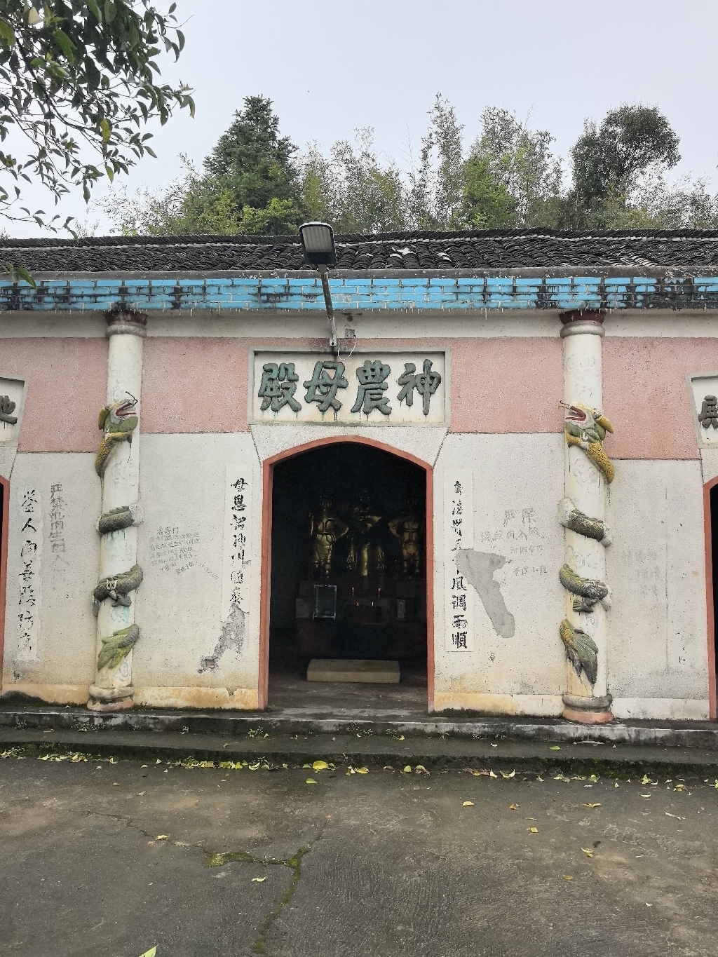 吖鹊仙神农母殿实景照片