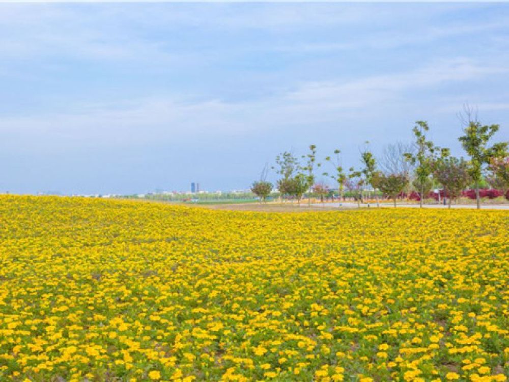 华佗百草园景点图片