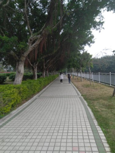 胜前公园旅行图片 1