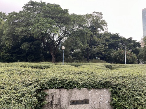 九龙公园-迷宫
