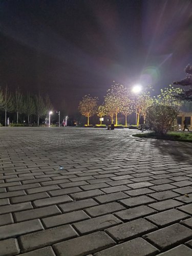 无极公园旅行图片 1