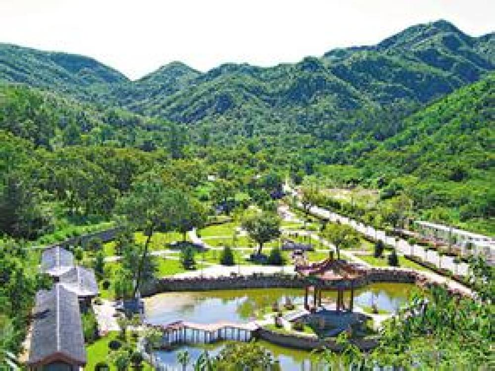 大杨山国家森林公园景点图片