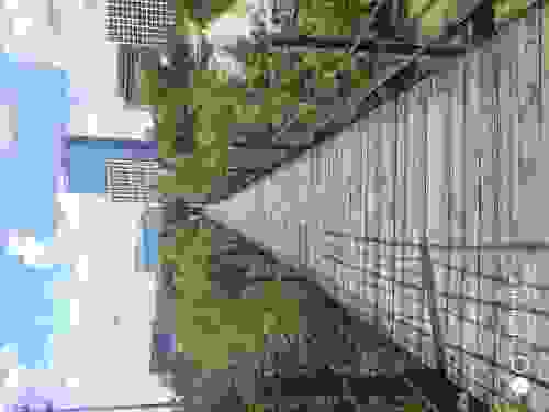 三角洲公园旅行图片 2