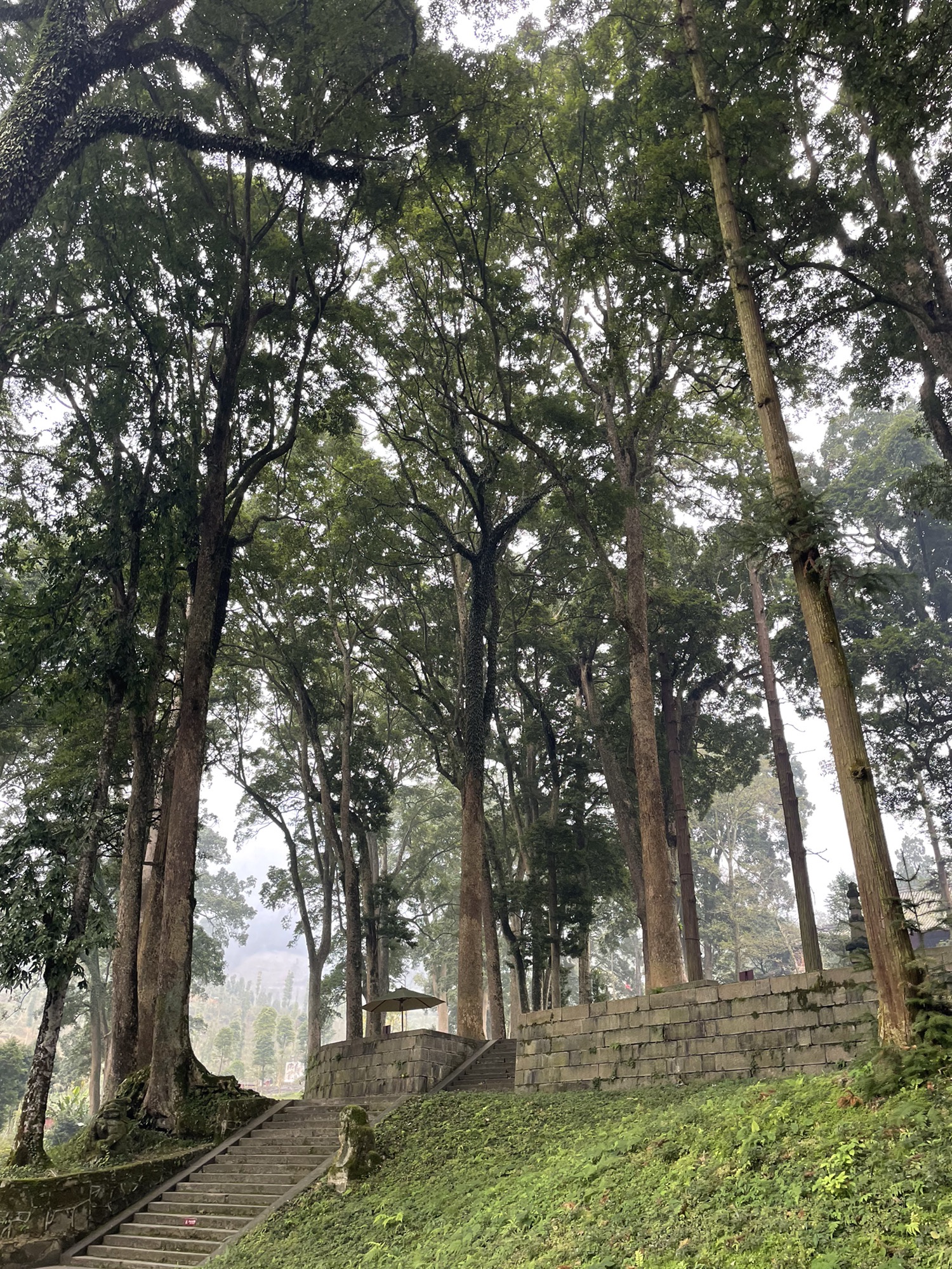 莲青寺实景照片