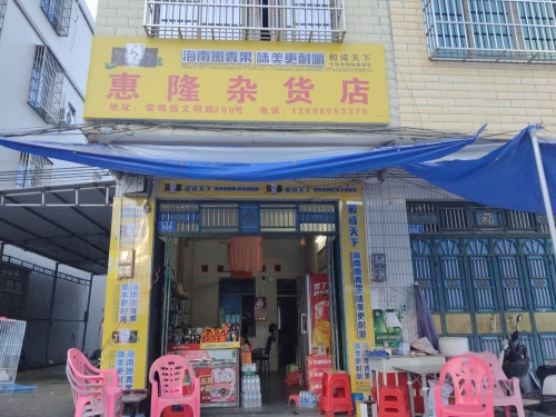 雷鸣惠隆杂货店
