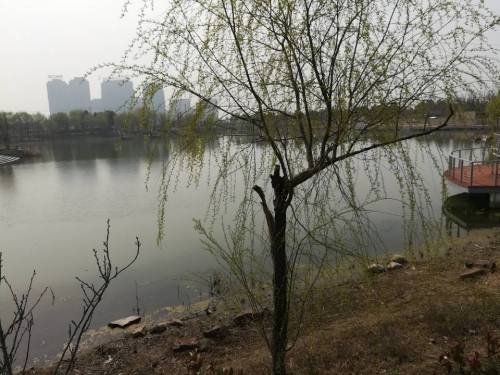 润都公园旅行图片 1