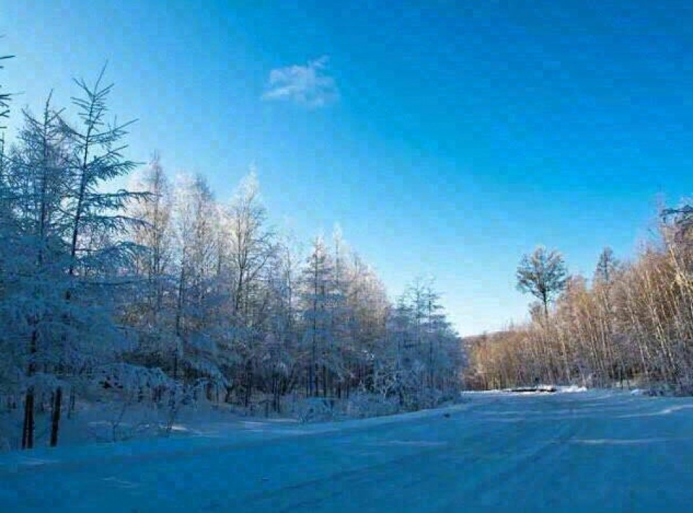 敖鲁古雅使鹿部落景区景点图片