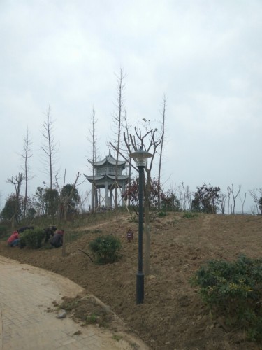 罗桥公园旅行图片 3